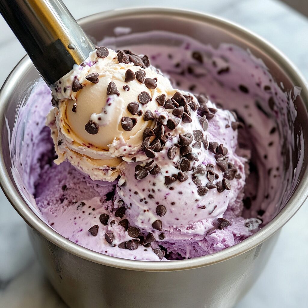 Black Raspberry Chocolate Chip Ice Cream